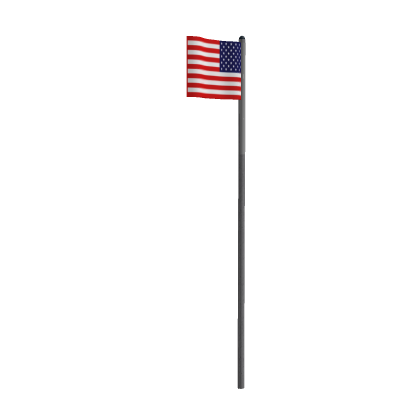  American Flag [SOLDIER]