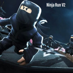 Ninja Run V