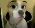 Sasalmon