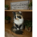 Adopt Me Give Away Group