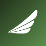 Ethiopian Airlines Virtual