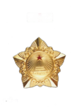 解放勋章