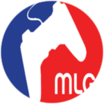 MLG Vip