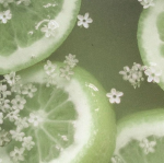 Lime&Lemon Sisterz