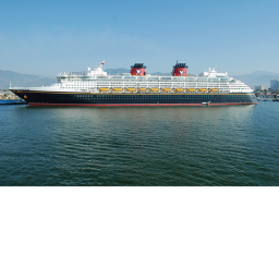 Disney Wonder!