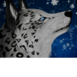 The WOLFPACK XE