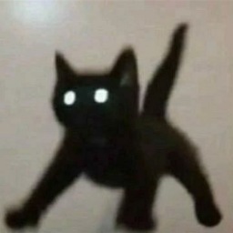 D r e a m
