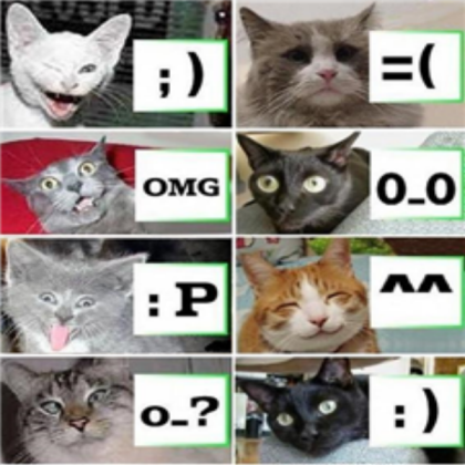 Lol Cats Roblox decal