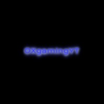OXgamingYT Fan's