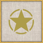 Armed Force of United States