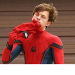 SpiderMan FANNZ