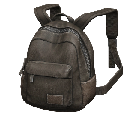 (1.0) Generic Backpack
