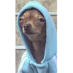 Pet sim is pay to win