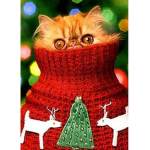 CATT ARE GOOD FOR YOU BECUASE THERE CUTE