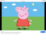 VscoPig GROUP