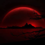 Crimson Moonlight - Official Community