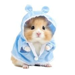 MAGICAL HAMSTER
