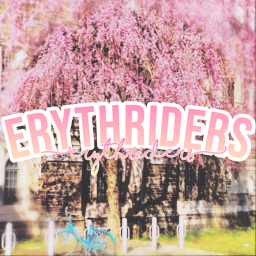 Erythriders F3X Studio