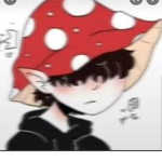 Mushroom_HeHe