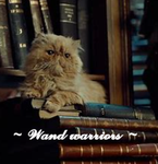 ~Wand warriors ~