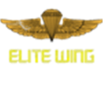 Pilots of the Elite Wing