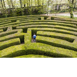 The Maze!