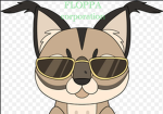 FLOPPA COOPERATION