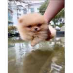 Kawaii…
