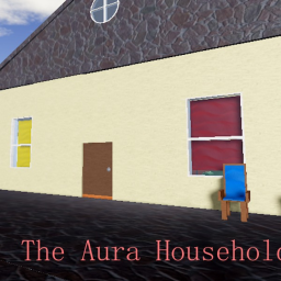 The Aura Household