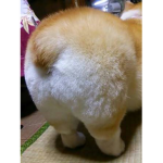 ThailandKeeHee
