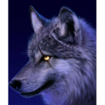 THE WOLF PALACE