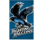 The falcon squadron
