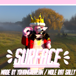 The surface