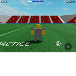 SCARY official (touch football)