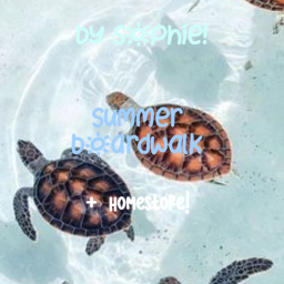 summer boardwalk !