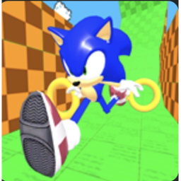Sonic fly high