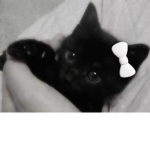 ʚɞ kitkxt ʚɞ