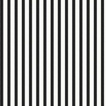 The Zebra Gams