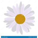 Daisies and crazies