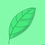 Nature land obby fans