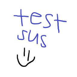 TEST PLACE-SUS GUN