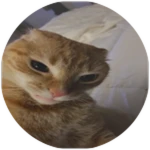 caption=GamePass