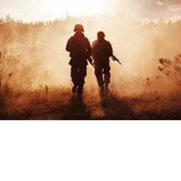 Combat