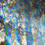 Psychedelics I