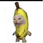 ALBERT GROUP POG