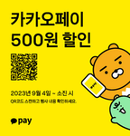 선비부대