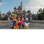 the disney movie fan club