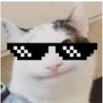 DA BOIS PLAY R O B L O X!!