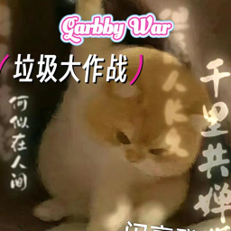 垃圾大作战/Garbage War