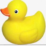 DUCKS O-O